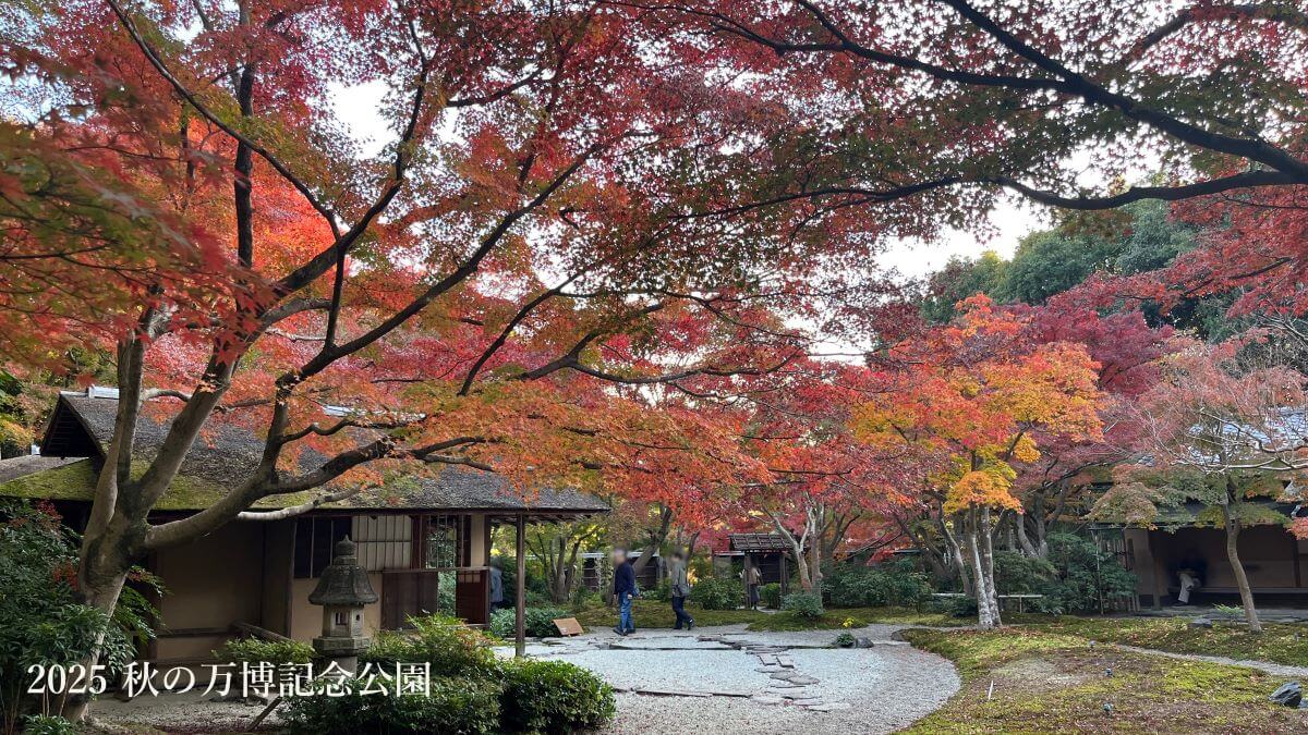 TOP (万里庵･汎庵)