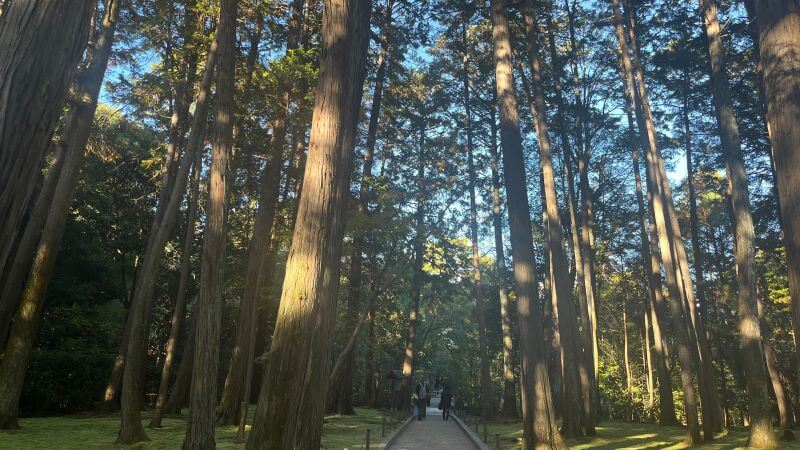 鑑真和上御廟へ