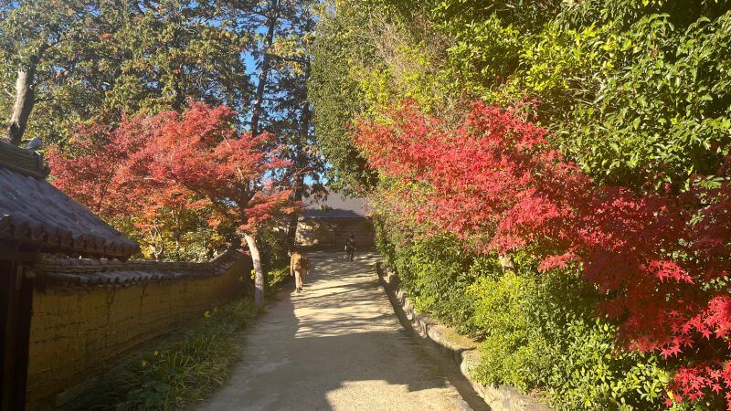 新宝蔵→宝蔵へ 