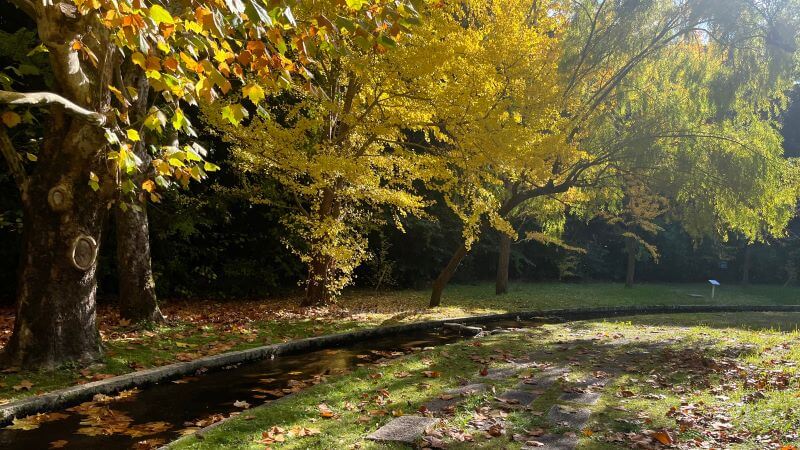 西大路→花の丘への曲がり角