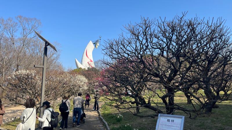 太陽の塔と梅林