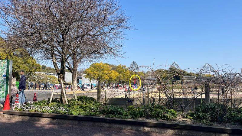 バラ園のミャクミャク