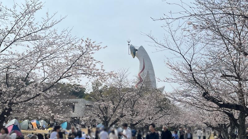 太陽の塔と桜
