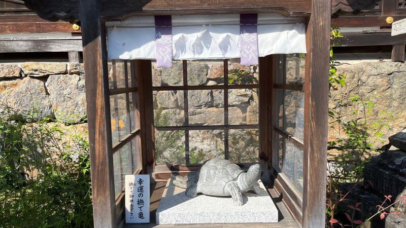 幸運の撫で亀