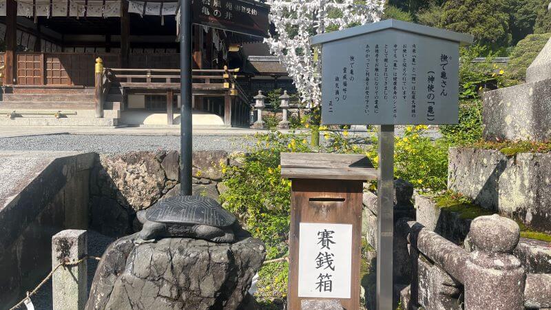 楼門近くの撫で亀さん