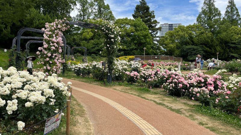 アーチ