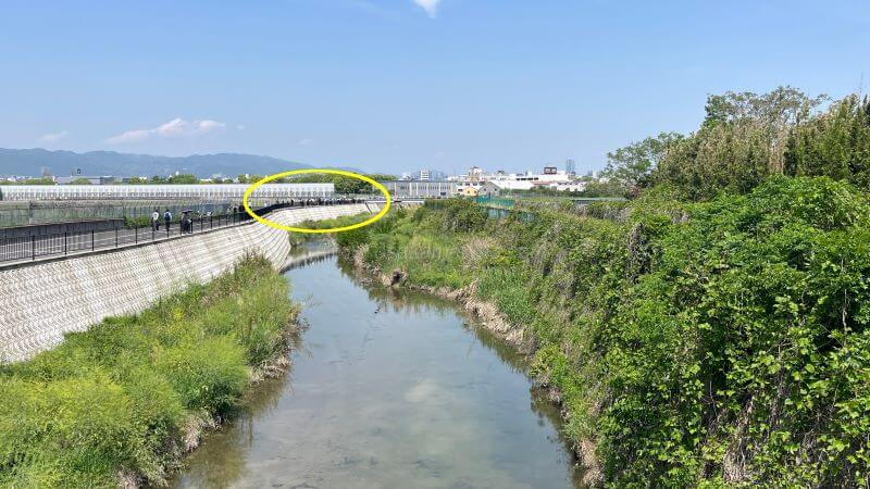橋上より