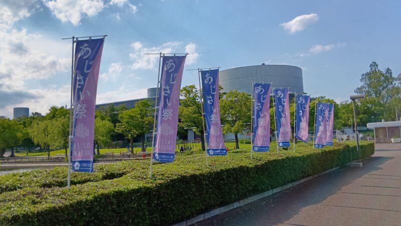 あじさい祭 