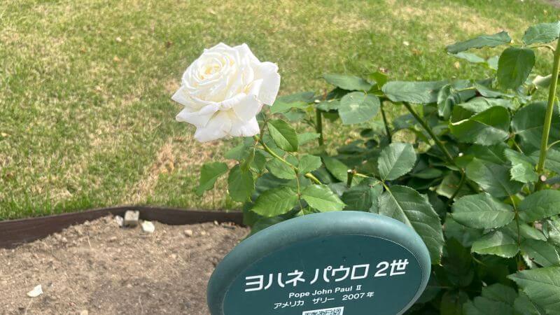 ヨハネ パウロ 2世