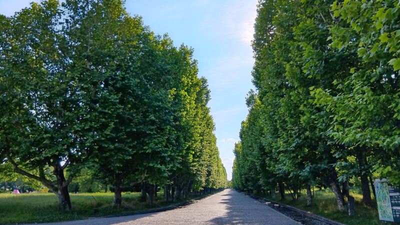 西大路