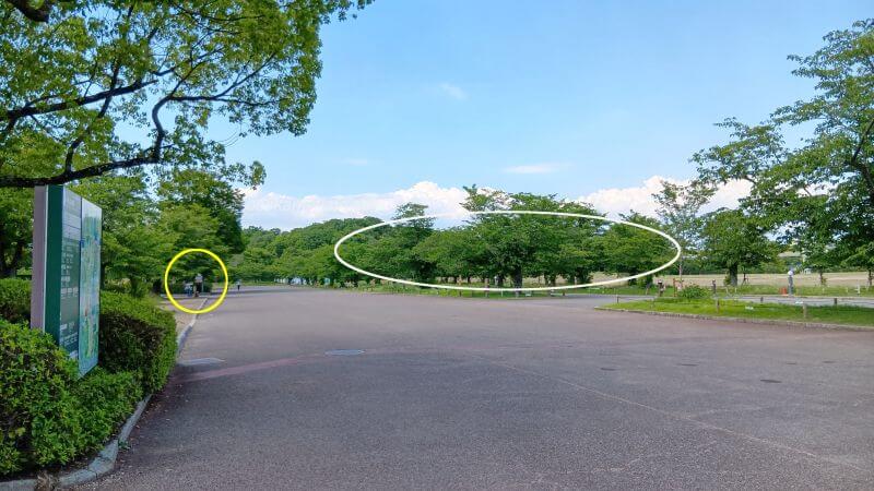 日本館跡地