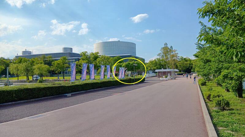 いのち球