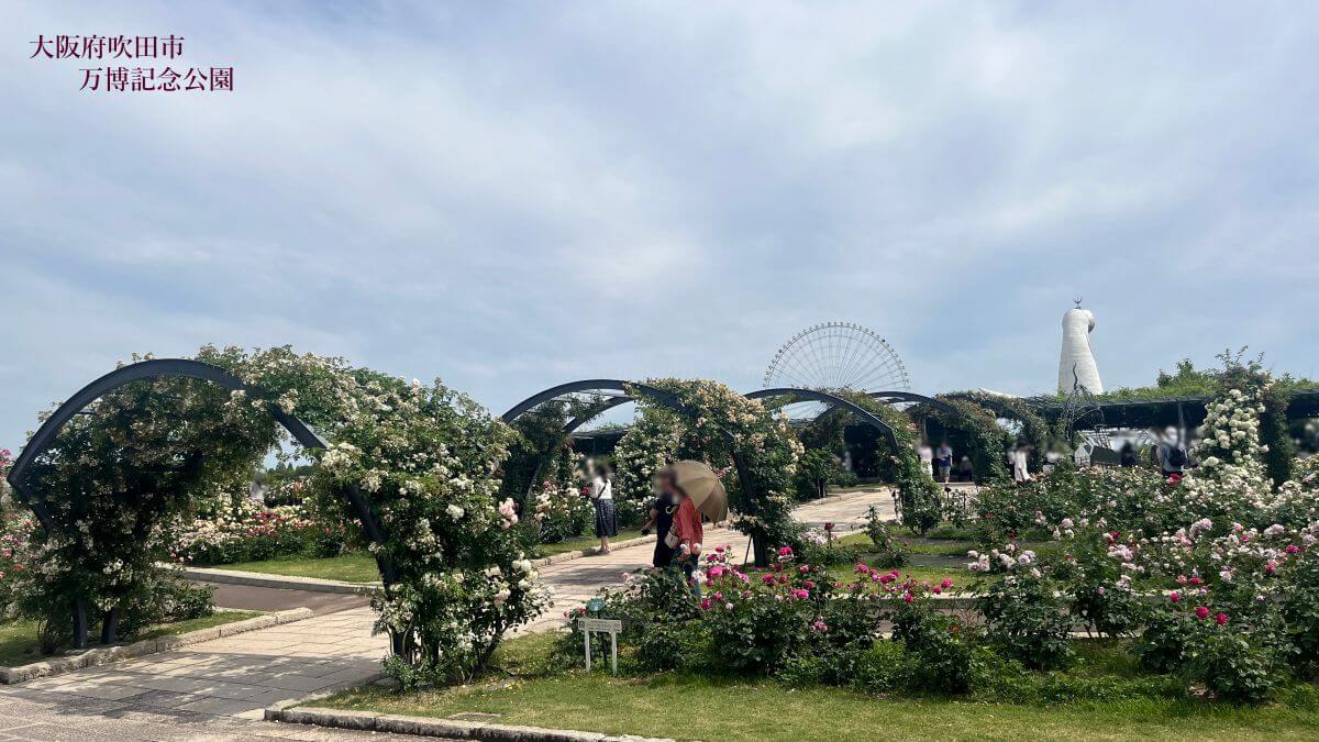 バラ園