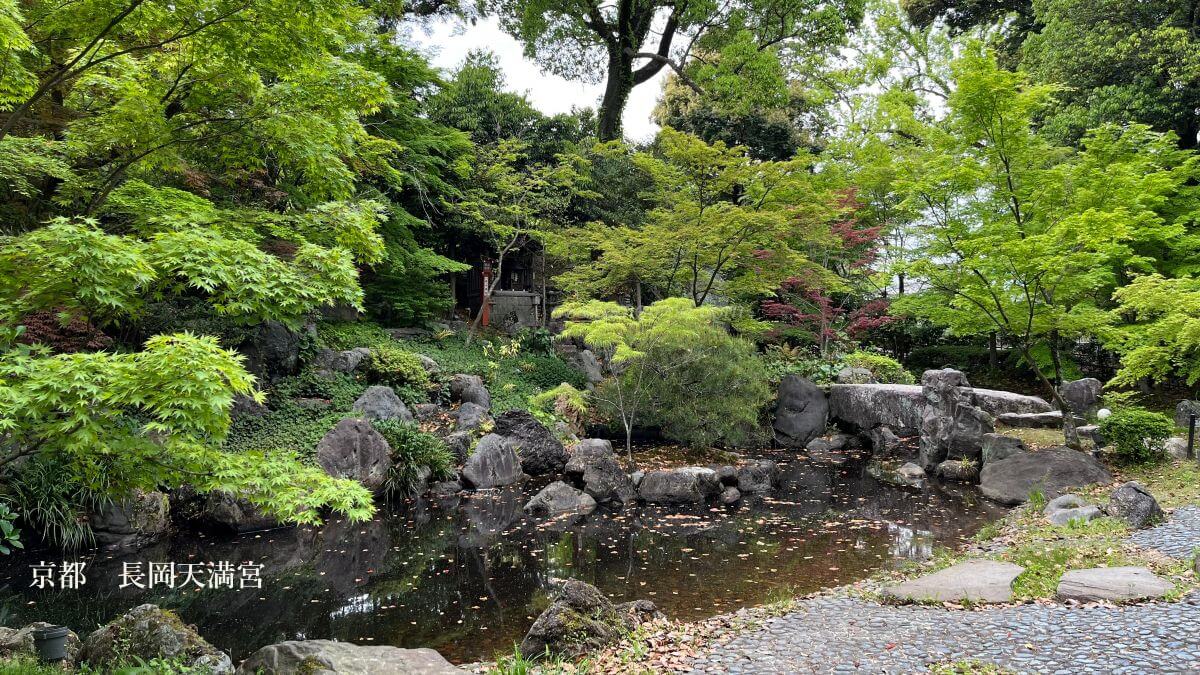 庭園