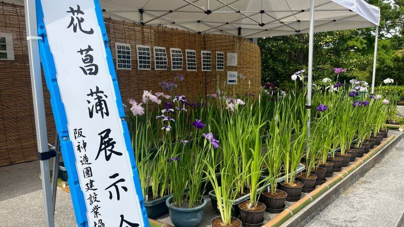 展示会