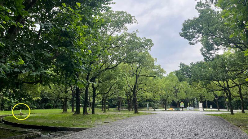 右前方に象牙海岸
