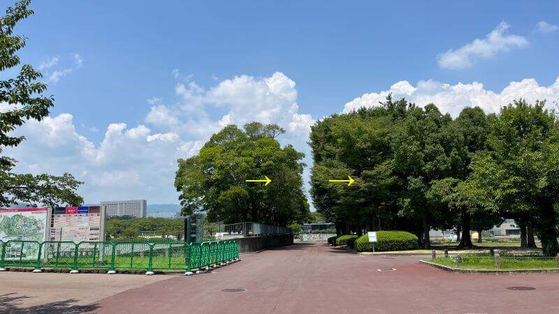 右へ
