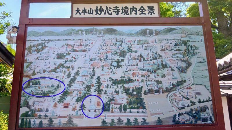 退蔵院へ