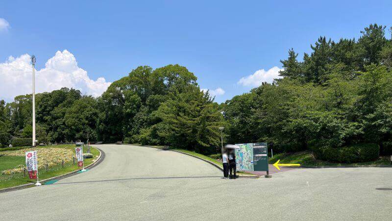 赤い道を入る