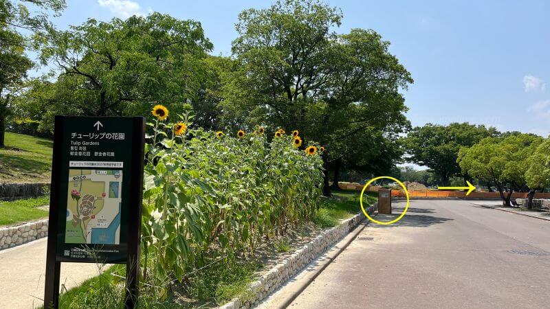 手前に9番　奥に8番 