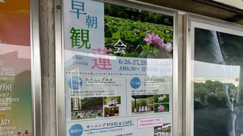 早朝観蓮会