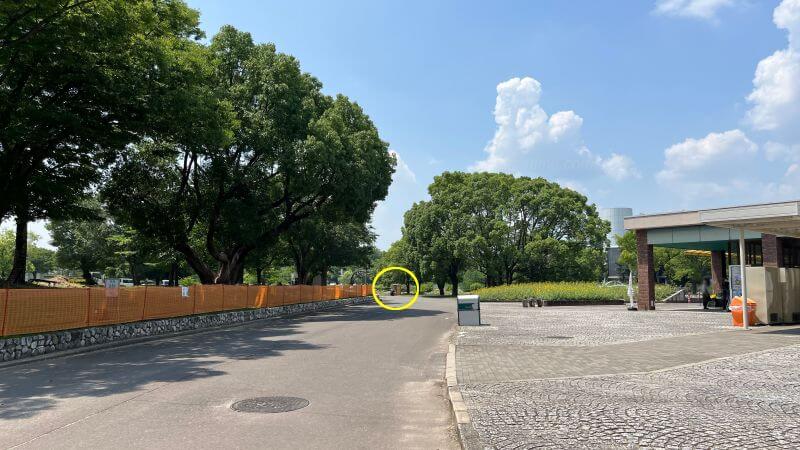 8番