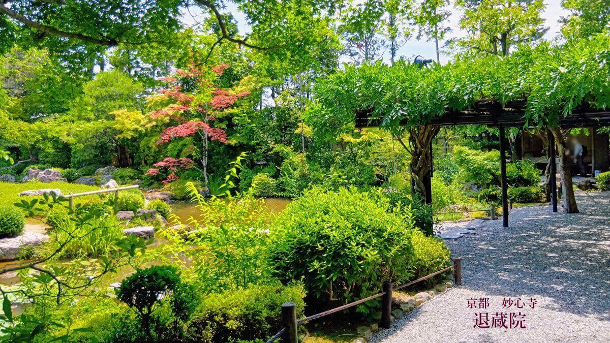 退蔵院