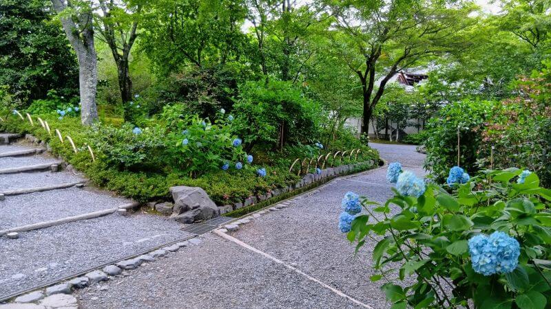 遊歩