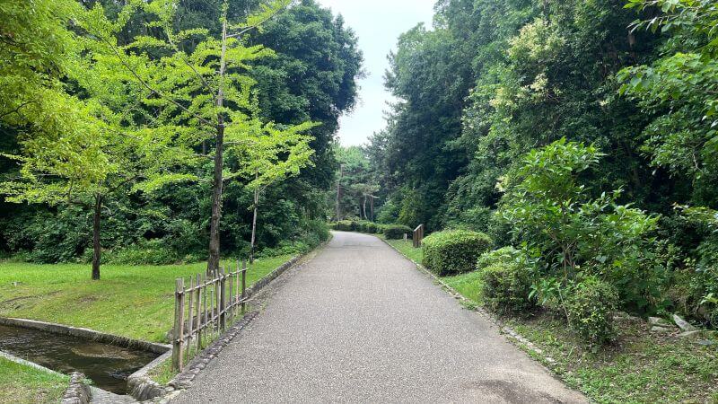 直進